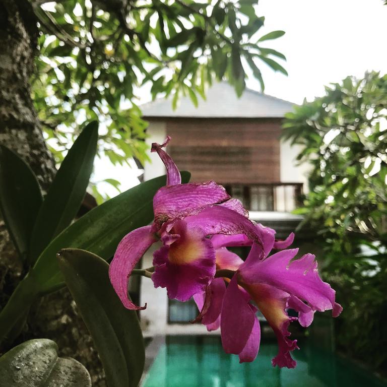 Villa Mudha 3 Sanur Exterior photo
